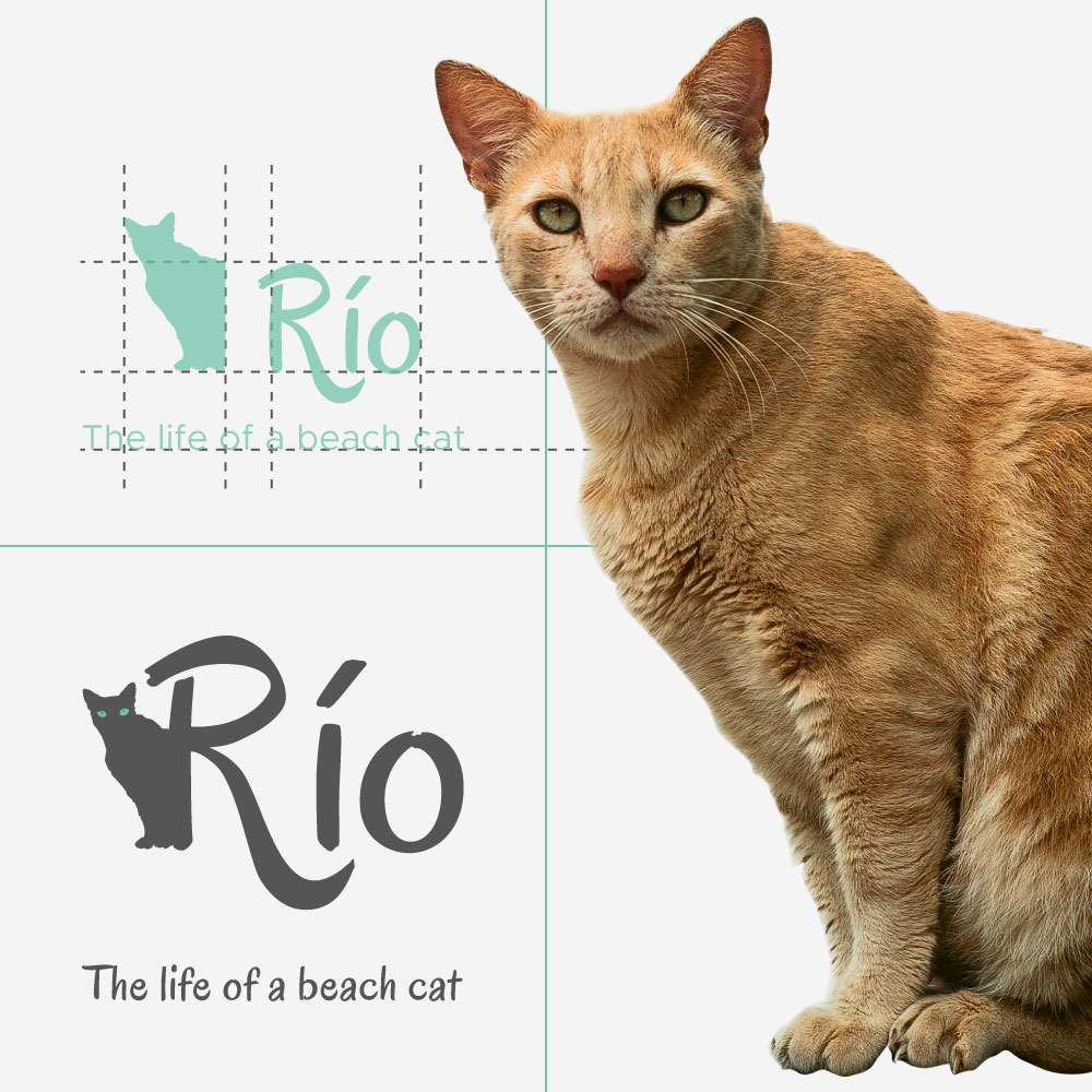 Design example: Rio — The life of a beach cat